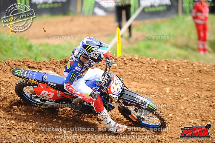 DSC_7617 (Copy).jpg
